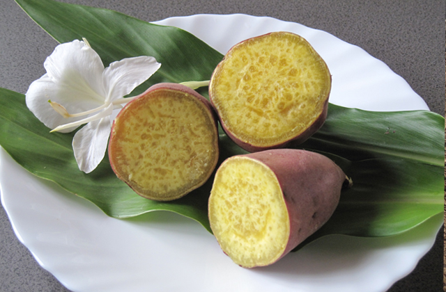 さつま芋掘り
