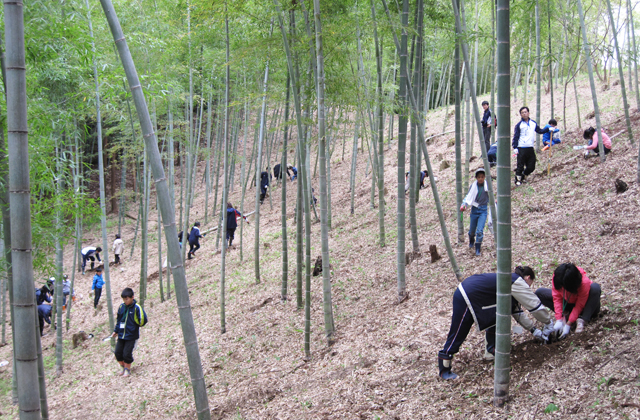 �|�̎q�@��