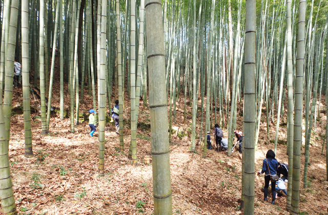 �|�̎q�@��