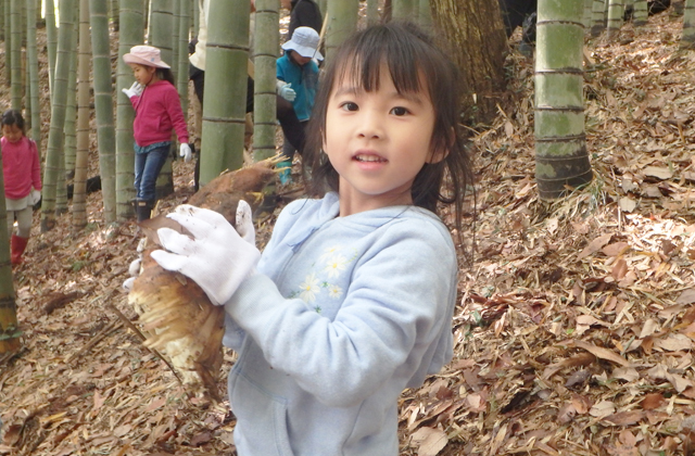 �|�̎q�@��