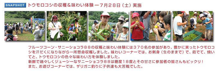 トウモロコシの収穫&味わい体験7月28日（土）実施