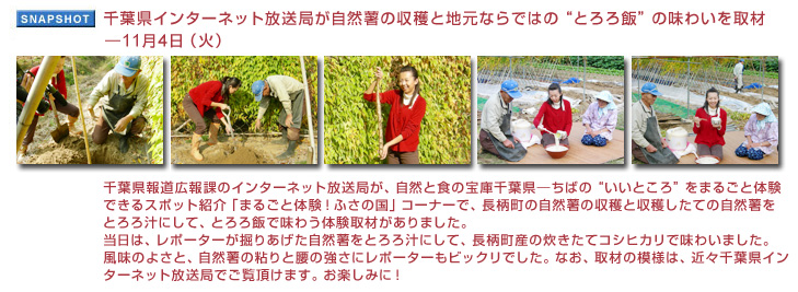 千葉県インターネット放送局が自然薯の収穫と地元ならではの“とろろ飯”の味わいを取材11月4日（火）