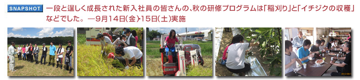 一段と逞しく成長された新入社員の皆さんの、秋の研修プログラムは「稲刈り」と「イチジクの収穫」などでした。 9月14日（金）・15（土）実施