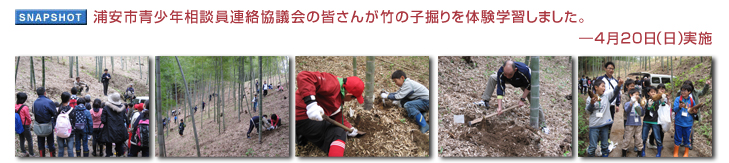浦安市青少年相談員連絡協議会の皆さんが竹の子掘りを体験学習しました。 — 4月20日（日）実施