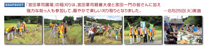 『宮田章司圃場』の稲刈りは、宮田章司親善大使と宮田一門の皆さんに加え強力な助っ人も参加して、賑やかで楽しい刈り取りとなりました。