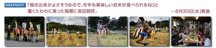「稲の出来がよさそうなので、今年も美味しいお米が食べられるね！」と重くたわわに実った稲穂に宮田師匠。