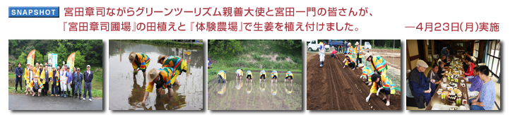 宮田章司ながらグリーンツーリズム親善大使と宮田一門の皆さんが、『宮田章司圃場』の田植えと 『体験農場』で生姜を植え付けました。