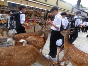 修学4