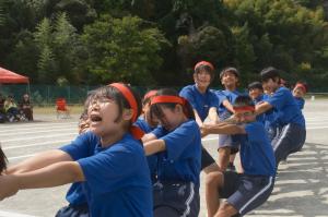 運動会8