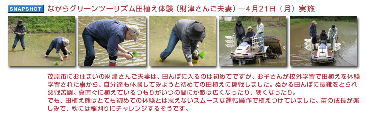 ȂO[c[YcǍiÂ񂲕vȁj421ij{