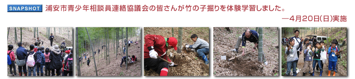 浦安市青少年相談員連絡協議会の皆さんが竹の子掘りを体験学習しました。 ― 4月20日(日)実施