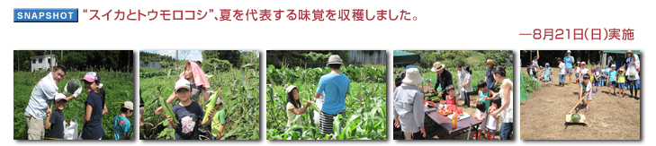 スイカとトウモロコシ”、夏を代表する味覚を収穫しました。