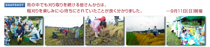 雨の中でも刈り取りを続ける皆さんからは、稲刈りを楽しみに・心待ちにされていたことが良く分かりました。