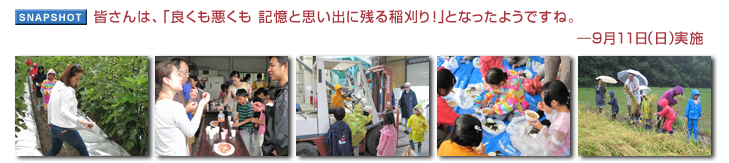 皆さんは、「良くも悪くも 記憶と思い出に残る稲刈り!」となったようですね。