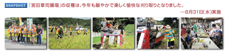『宮田章司圃場』の収穫は、今年も賑やかで楽しく愉快な刈り取りとなりました。