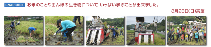 お米のことや田んぼの生き物について いっぱい学ぶことが出来ました。