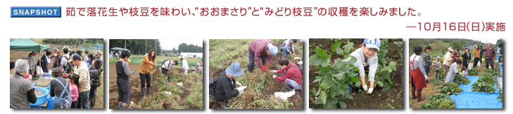 茹で落花生や枝豆を味わい、“おおまさり”と“みどり枝豆”の収穫を楽しみました。―10月16日(日)実施