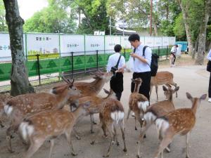 奈良公園